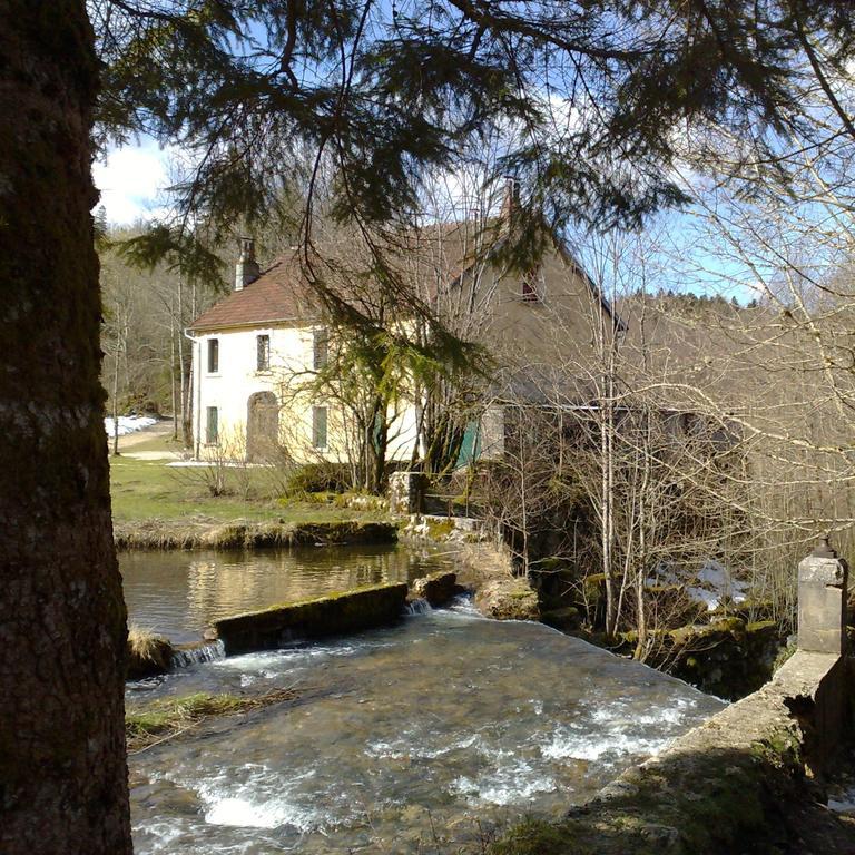 Au Moulin Des Fees - Maison D'Hotes Cascades Du Herisson Bonlieu Bagian luar foto