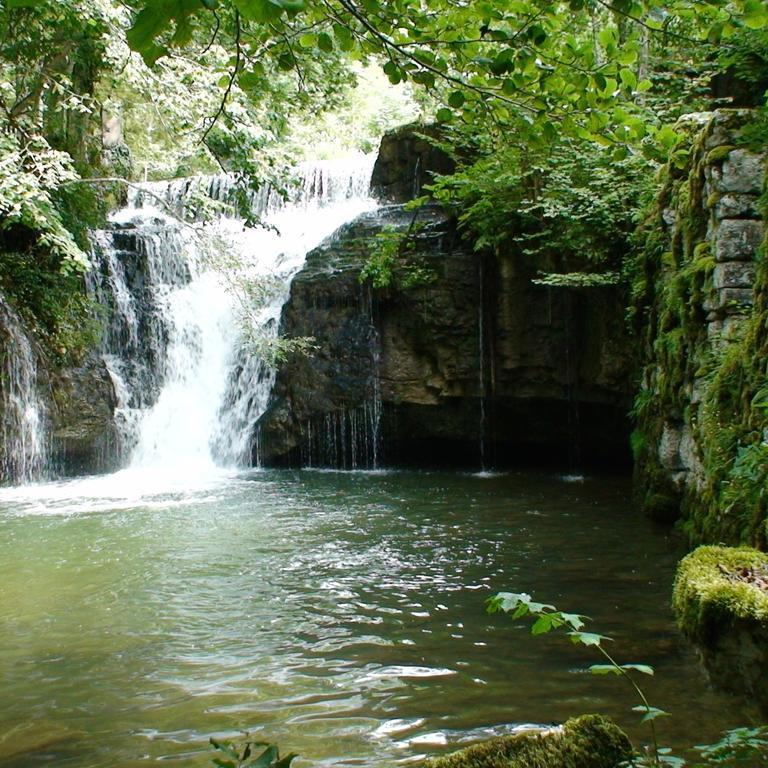 Au Moulin Des Fees - Maison D'Hotes Cascades Du Herisson Bonlieu Bagian luar foto